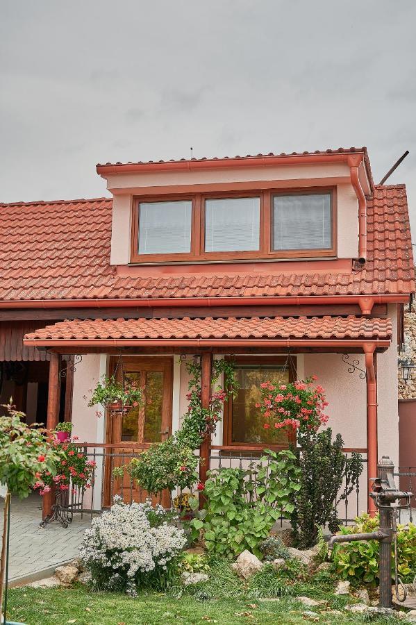 "Na Skale " Apartment In Center, Free Parking Bojnice Esterno foto